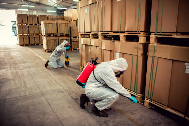 Best Rat Extermination Near Me  in Alton, IL