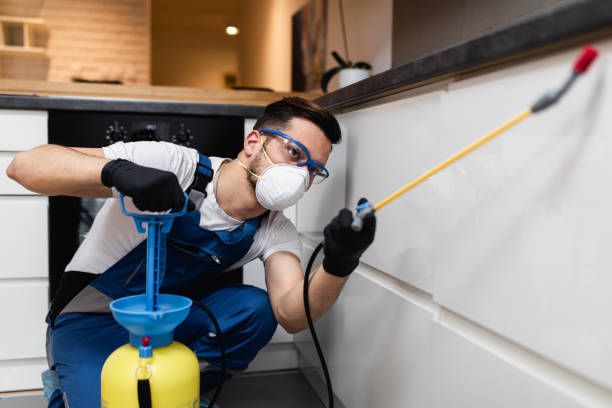 Professional Pest Control in Alton, IL