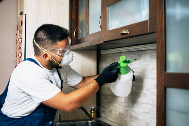 Best Commercial Pest Control Services  in Alton, IL