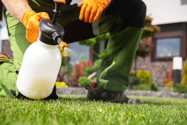 Flea Control Services in Alton, IL