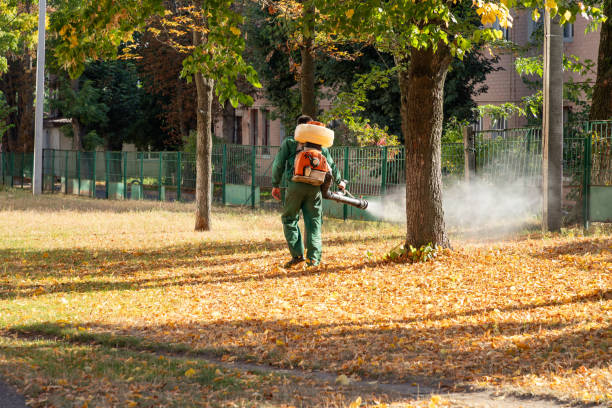 Best Flea Control Services  in Alton, IL