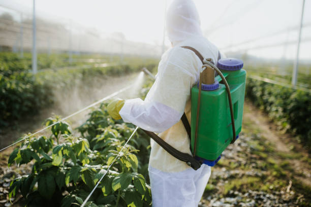 Best Cockroach Control Services  in Alton, IL